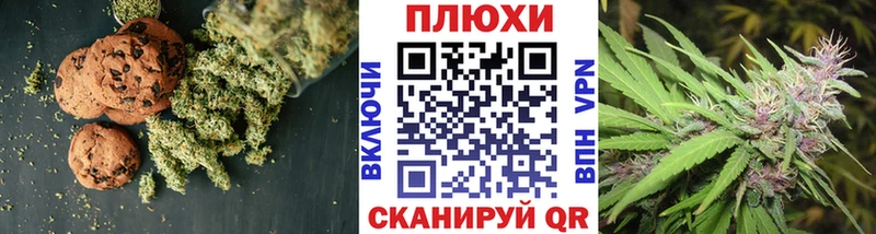 продажа наркотиков  Камышлов  MEGA онион  Еда ТГК марихуана 